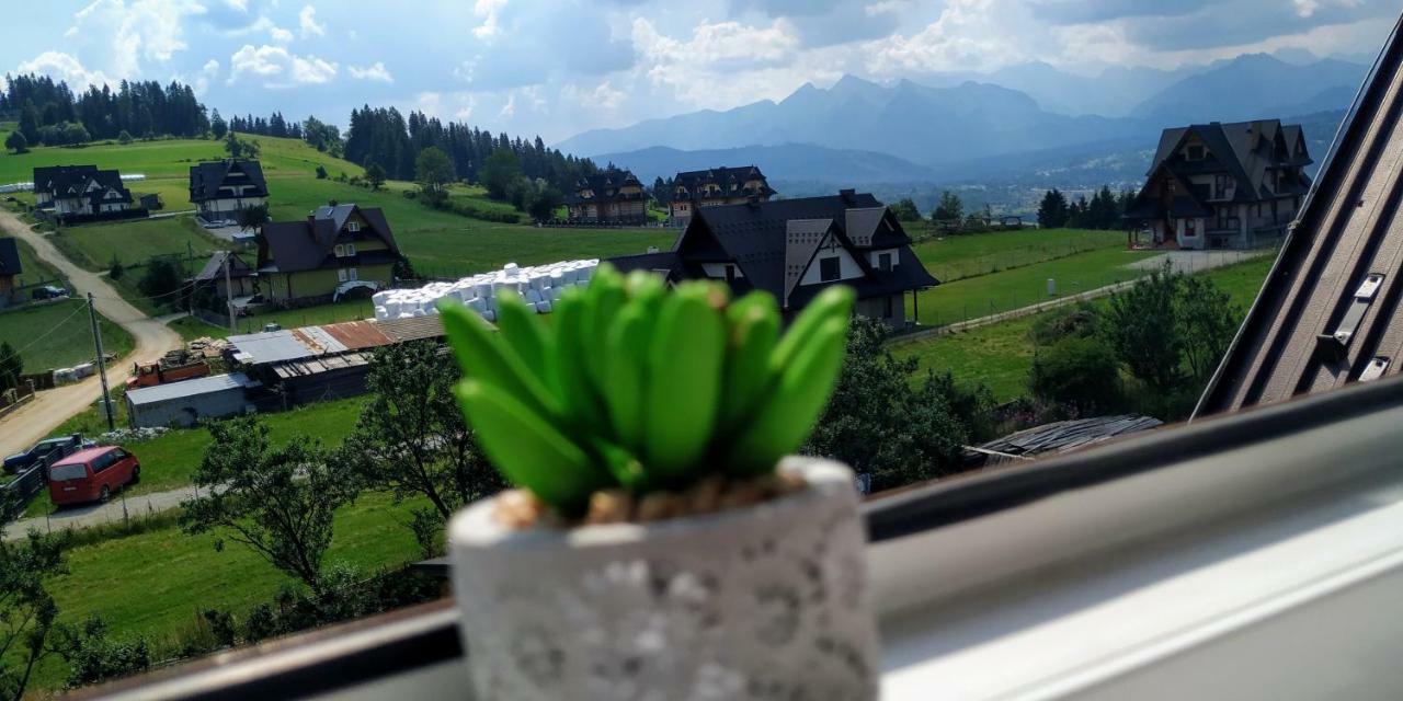 Pokoje I Apartament U Lucyny Czarna Góra Dış mekan fotoğraf